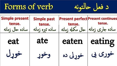 English Forms Of Verb In Pashto Language | English Grammar In Pashto