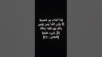 #قرآن #تلاوة_خاشعة #سورة التغابن (ما أصاب من مصيبة إلا بإذن الله...) #الشيخ #سعد_الغامدي