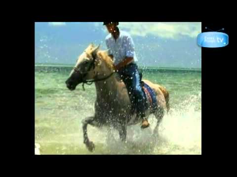 Horse riding safari in Mozambique,one hundred & four horses, the Retzlaff safari