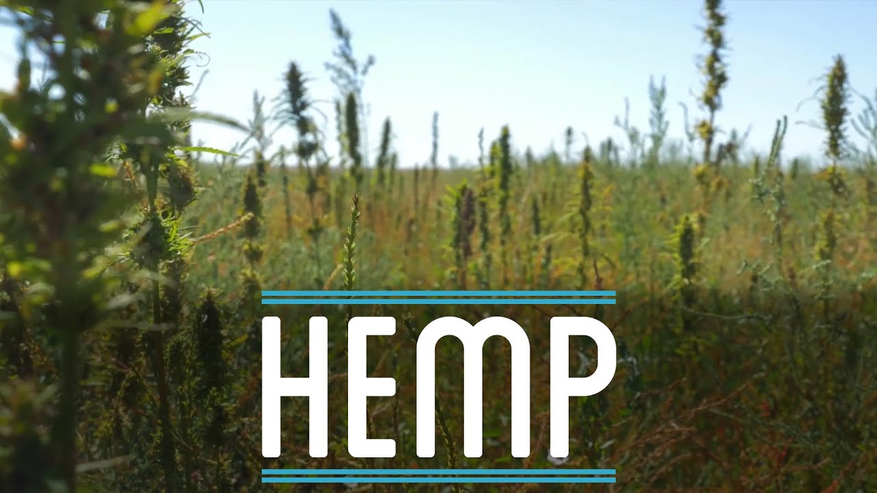 Hemp | How To Make Everything: Suit (1/10)