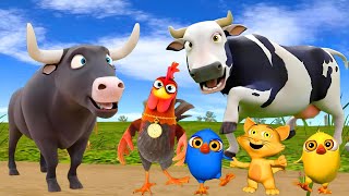 El pollito y el Tractor de la Granja Escapando del Toro y del Pollito la Granja de Zenón de la Vaca
