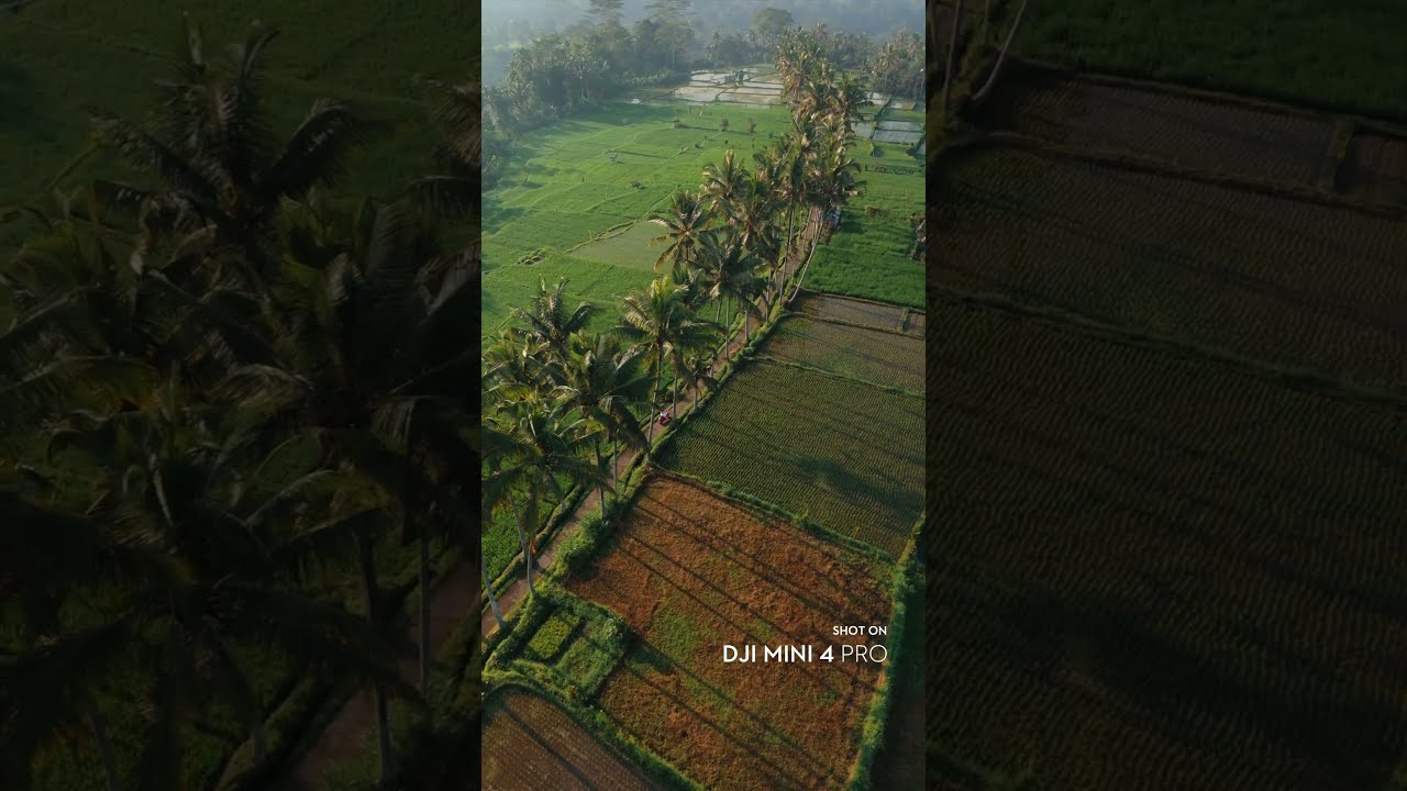 Mini 4 Pro Vs DJI Avata Which Shot Looks Better Man Fromearth
