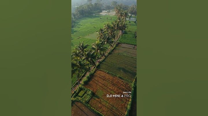 Mini 4 Pro vs DJI Avata, which shot looks better? 🍃  @man.fromearth