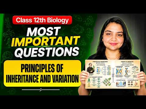 Principles of Inheritance and Variation | Most Important Questions | Class 12 Biology | Nikita Ma'am