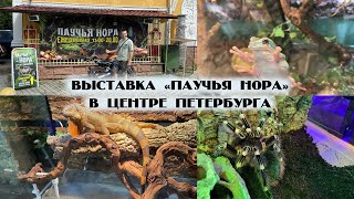 Обзор выставки Паучья нора в Санкт-Петербурге