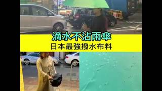 Searching C -【滴水不沾雨傘】//小編開箱//unnurella