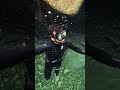 Um mergulho no Poço da Tartaruga no Caparaó!