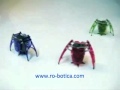 Hexbug robot gusano en robotica mechatronicstv