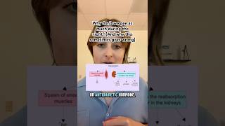 Why don’t we pee as much during the night? (And why this sometimes goes wrong)