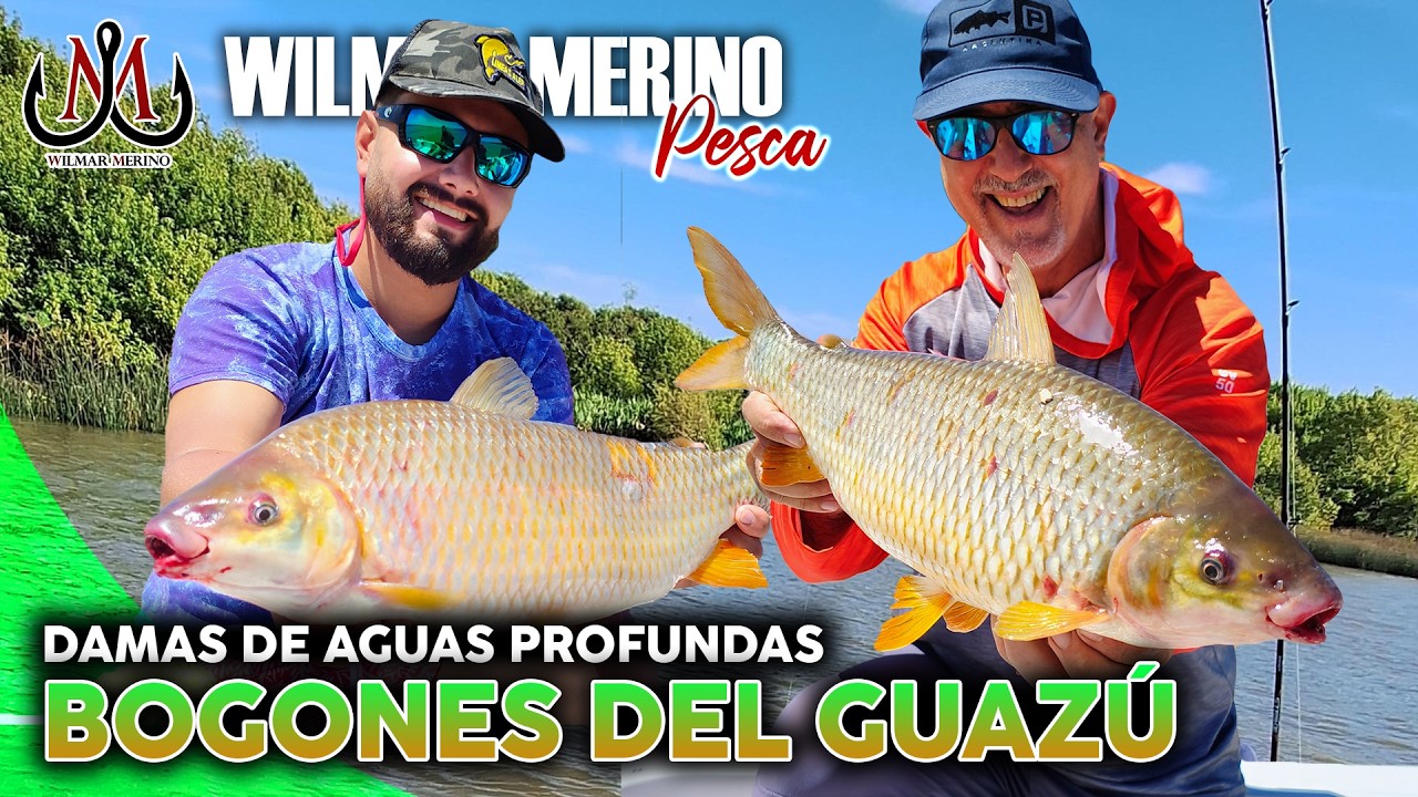 Febrero de Bogas grandes en el Paraná Guazú | Pesca con Wilmar Merino