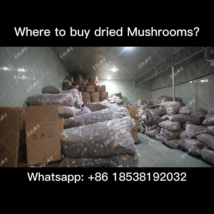 Where To Buy Dehydrated Food For Camping Where To Buy Dehydrated Food For Camping