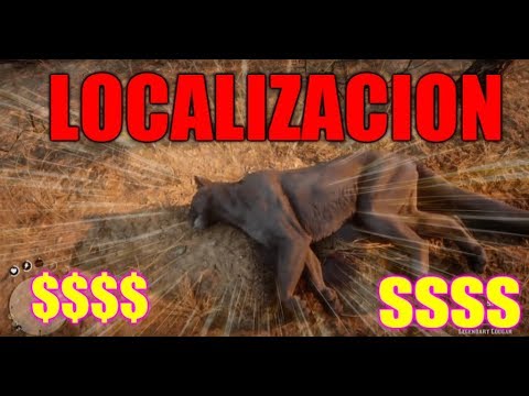 PUMA RDR2 ONLINE UBICACION Y LOCALIZACION DE PUMA EN DEAD 2 ONLINE CAZAR PUMAS Cougar rdr2 -