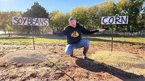 Do Deer Like Corn or Soy Beans? 1 Month of Game Camera Footage