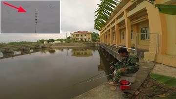 Câu Đài ➣ Cận Cảnh Phao Khi Cá Diếc Ăn Mồi ➣ Ổ Cá Diếc Trong Bể Hút Trạm Bơm