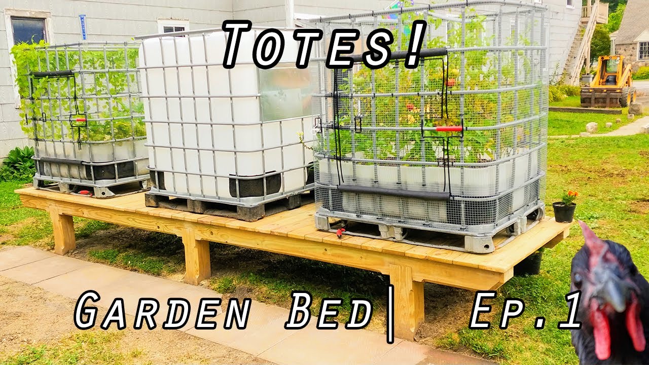 How To Build IBC Tote Container Raised Garden Beds Episode One YouTube How To Build IBC Tote Container Raised Garden Beds Episode One YouTube