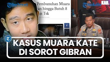 Kasus Pembunuhan Muara Kate: Sorotan Gibran, Polisi Butuh 8 Bulan Tetapkan Tersangka