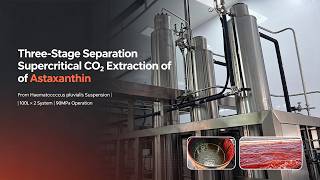 Three-stage Separation Supercritical CO2 Extractor with Astaxanthin