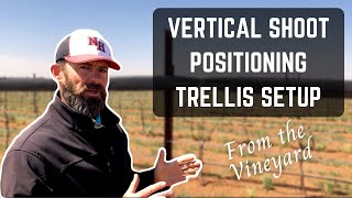 Defining Characteristics of VSP Trellising System (Vertical Shoot Positioning)