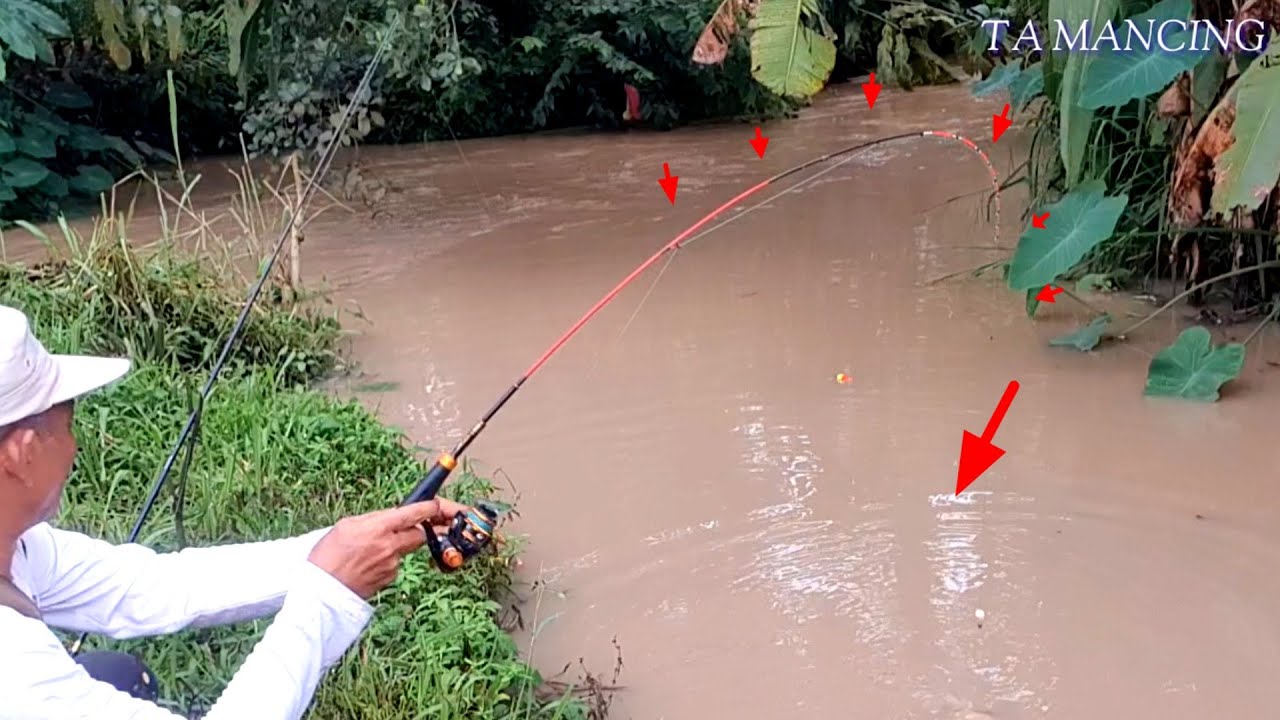 TAK TERDUGA‼️ MANCING DI PARIT SAAT AIR KERUH JACKPOT SI EKOR MERAH