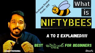 Details What is NiftyBeES Telugu | ETF investment Telugu | Best ETFs to invest | NiftyBeES | Healthywealth Guide