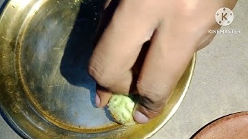 भगवान शंकर को #धतूरा क्यों चढ़ाया जाता है। Pandit #Pradeep Mishra Ji Sehore Wale #Viral #Video