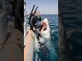 POV: A shark attacks a diver who was about to dive into the ocean#pov #diving #attack #shark #ocean