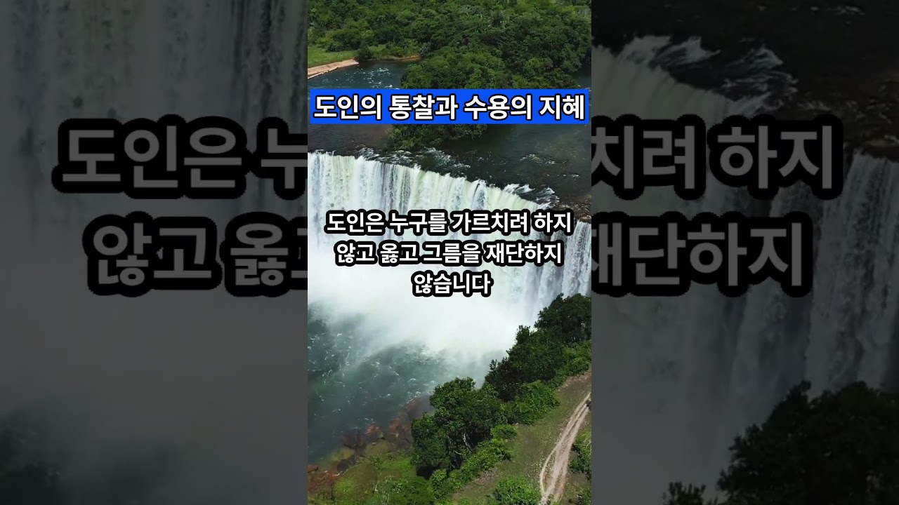 도인의 통찰과 수용의 지혜 #받아들임 #알아차림 — Transcript