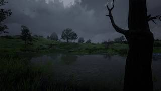 Thunderstorm Under a Lone Tree by the Pond | Relaxing Echoing Thunder | Deep Stress Relief