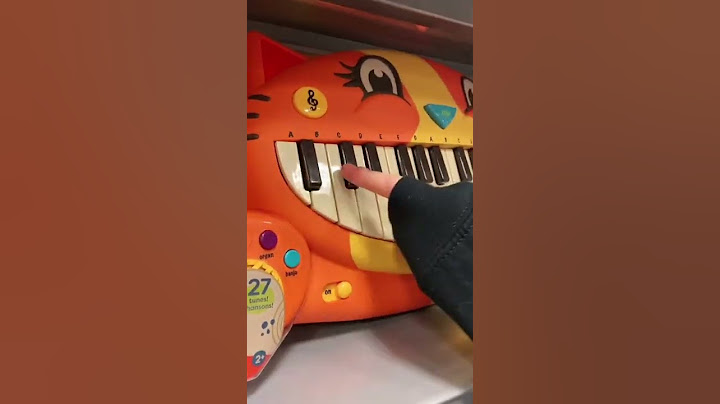 it's been so long piano cat
