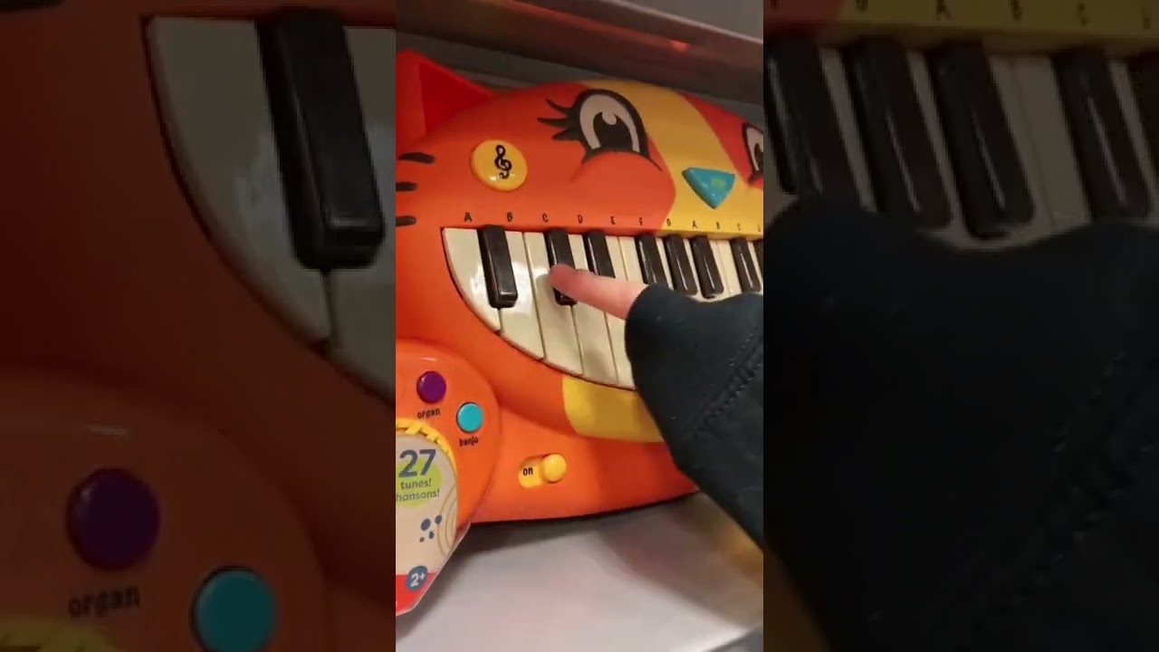it's been so long piano cat