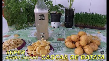 Como fazer com a casca da batata para colocar no pé da planta?