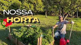 COMO ESTÁ A NOSSA HORTA APÓS 1 MÊS - Metodo NO DIG vale a pena? - Portugal farm life