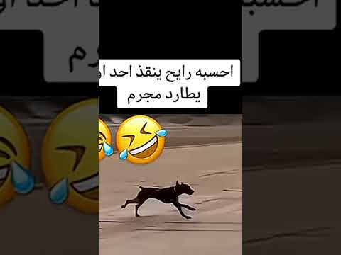 اضحك من قلبك نكت جديد 2026