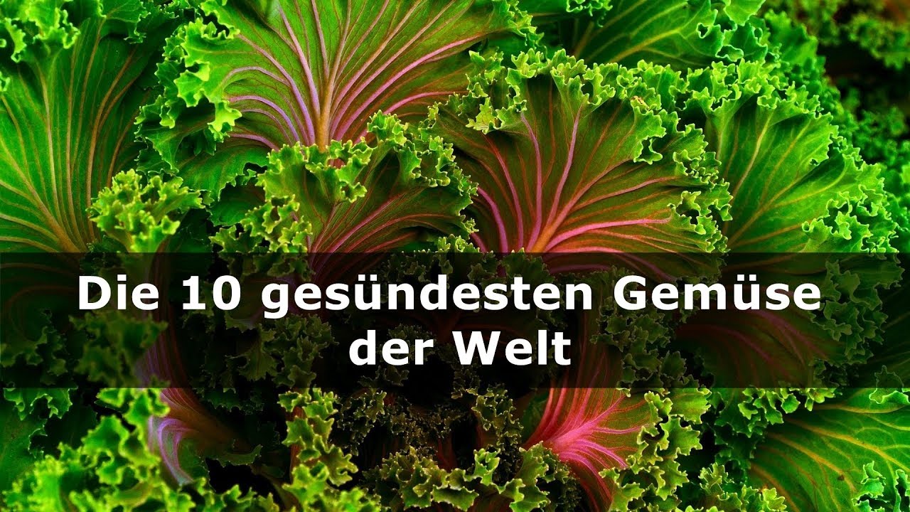 Gesundeste Gemuse Der Welt