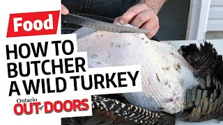 How to butcher a wild turkey screenshot 5
