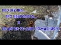 Про жучка..., про невролога... и подарок ко Дню Рождения!))