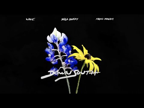 Wale - Down South (feat. Yella Beezy & Maxo Kream) [Official Audio]