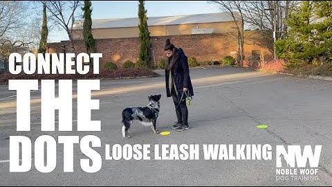 Loose Leash Walking With The Connect The Dots Game