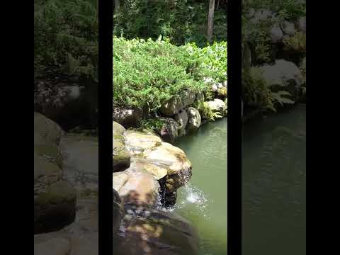 〖 杉林溪繡球花季《台南市青溪新文藝學會 - 森林芬多精之旅》〗PART1