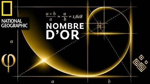 Le Nombre d’Or et la Suite de Fibonacci : Le Code Secret de la Nature - National Geographic