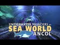 Sea World Ancol: Keajaiban Bawah Laut