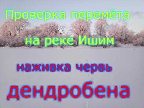 Проверка перемёта на реке Ишим !!!