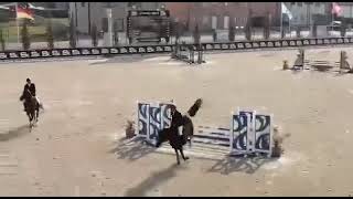 Donna Dominator Z X Pacific Cyclus 4Y Opglabbeek