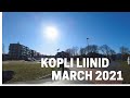 Kopli liinid 🏘️ - 2 kayaks, seaweed & swans (last week March 2021)