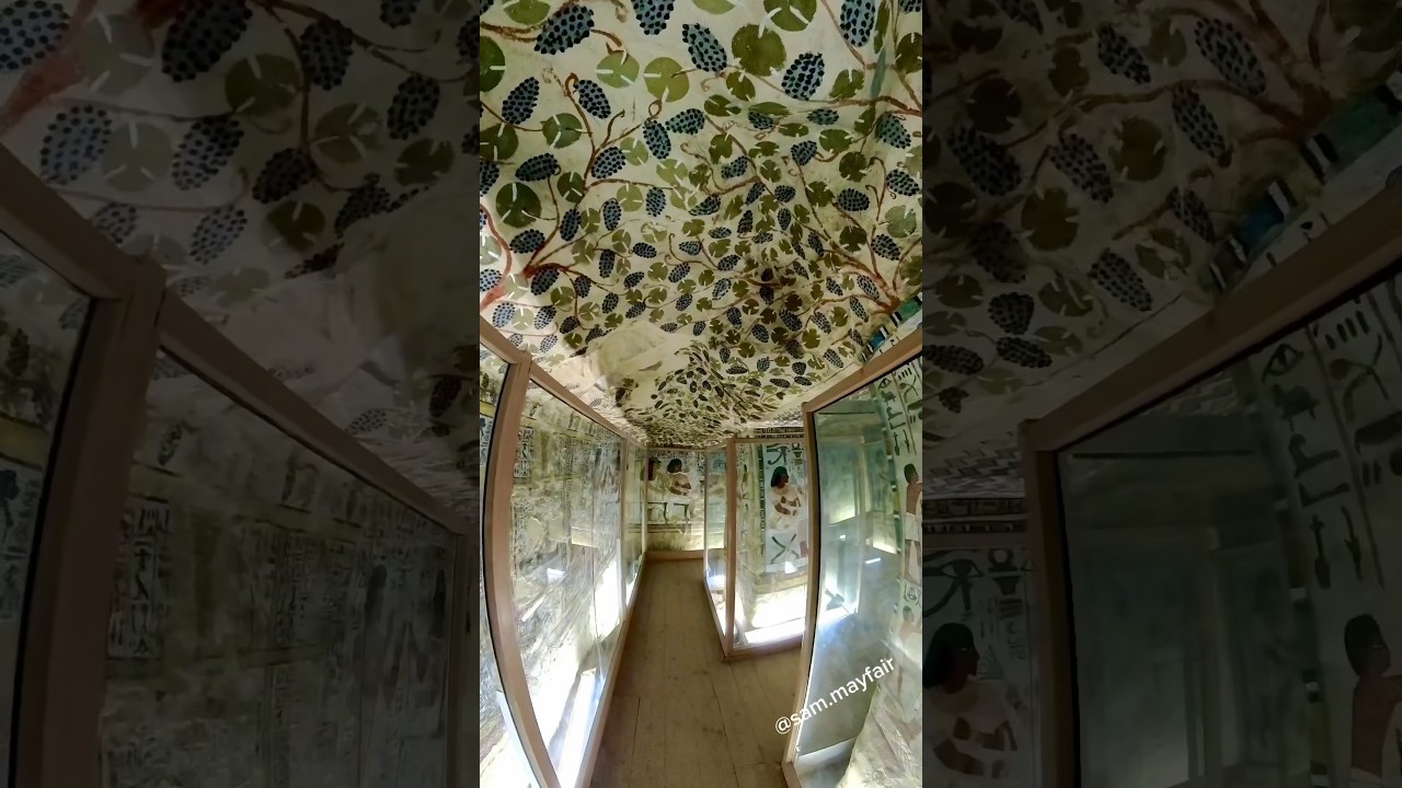 Гробница Виноградников TT96 Гробницы знати Сеннефер