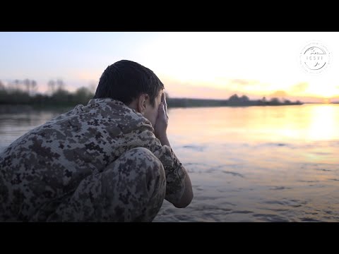 სექსი ისლამურ სახელმწიფოში