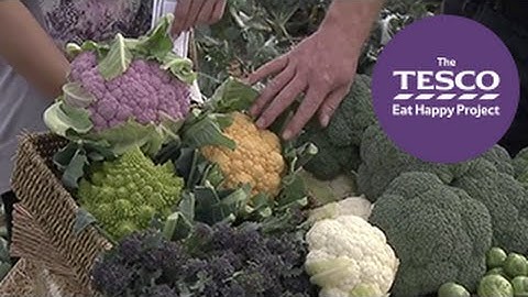 Budding Broccoli: the brassica family