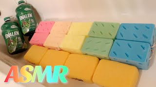 🌲🌲 ASMR Two Gallons Pinalen + New Sponges! 🌲🌲 Stress Relief / Sleep Aid