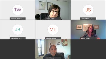 VWG 2 on Governance and implementation - 1st Session, 27 October 2020