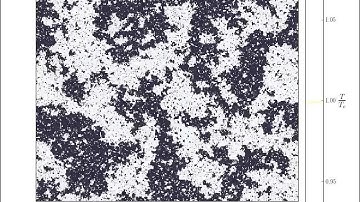 Ising Model Simulation